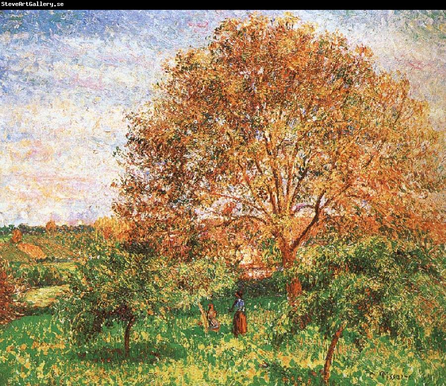 Camille Pissarro Red sky under the apple tree